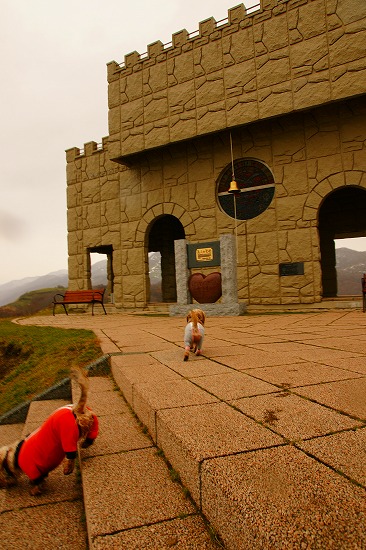f0046128_1072895.jpg