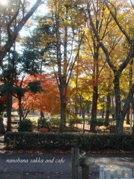 b0151533_22241062.jpg