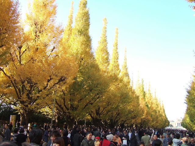 e0064133_0341849.jpg