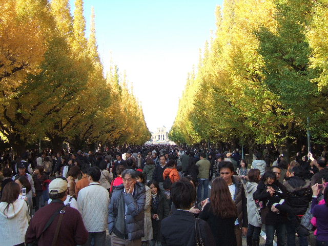 e0064133_0342777.jpg