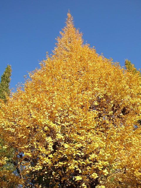 e0064133_0343829.jpg