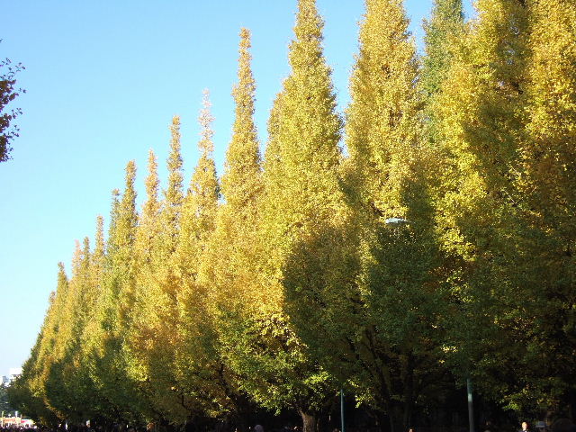 e0064133_034477.jpg