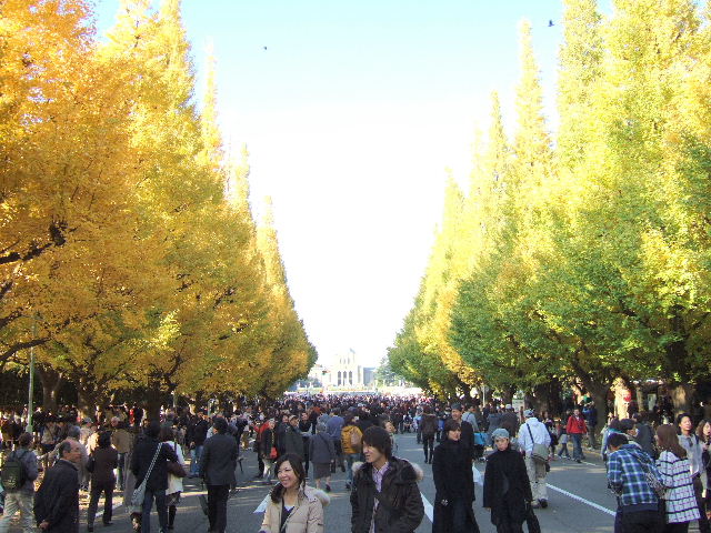 e0064133_0345536.jpg