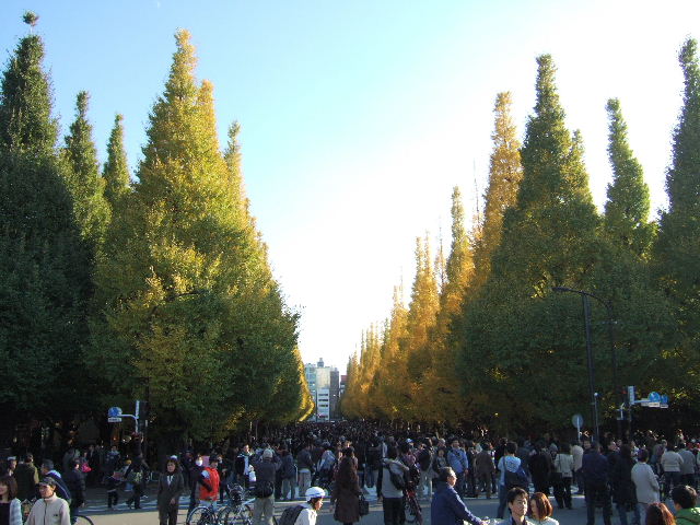 e0064133_0351162.jpg