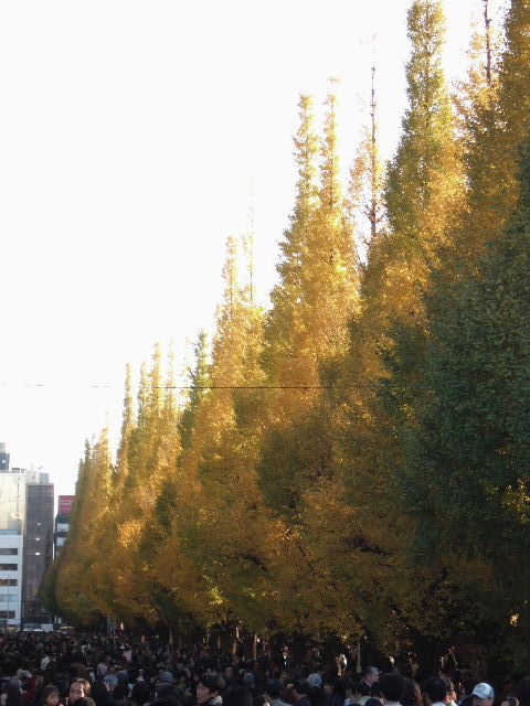 e0064133_0351941.jpg