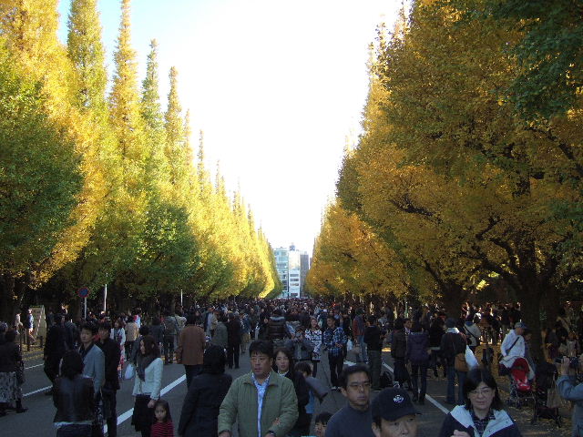 e0064133_03536.jpg