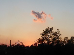 f0002833_16464681.jpg