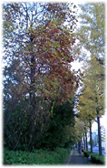 f0034334_18202028.jpg