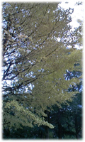 f0034334_18204577.jpg