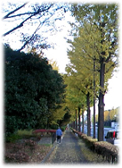 f0034334_1821127.jpg