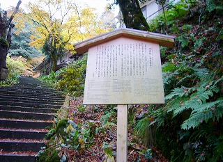 d0049938_10302279.jpg