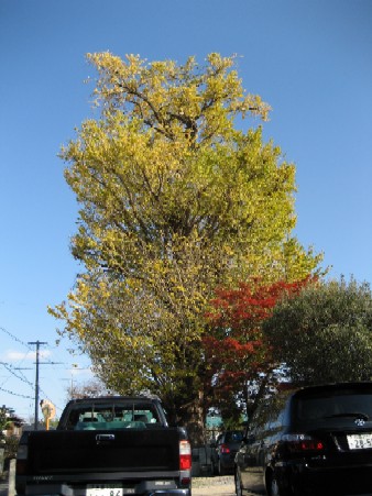 f0051638_22553020.jpg