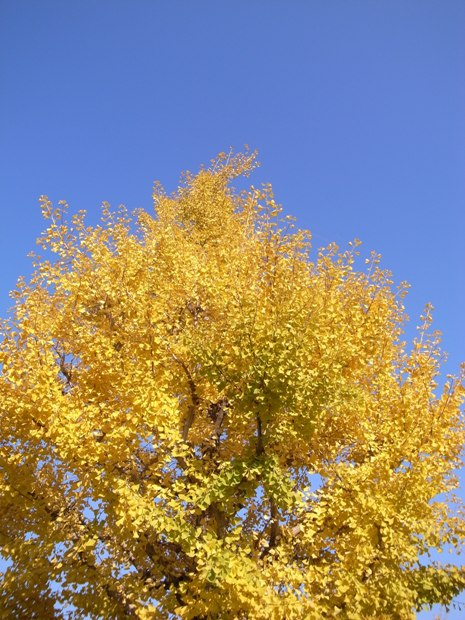 f0176239_21521924.jpg