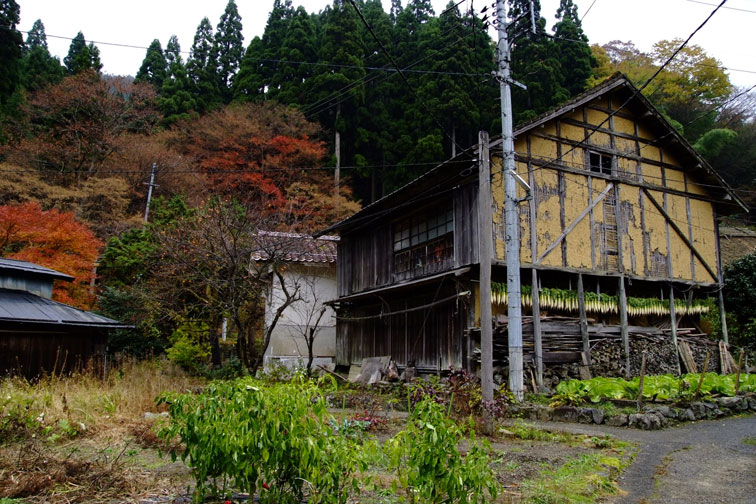 b0075541_20315820.jpg