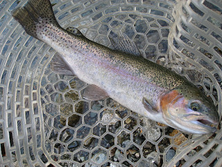 f0065341_001965.jpg