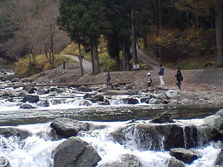 f0065341_02569.jpg