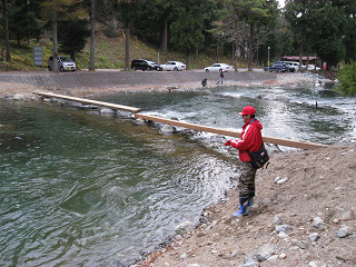 f0065341_04352.jpg