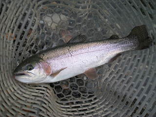 f0065341_05496.jpg