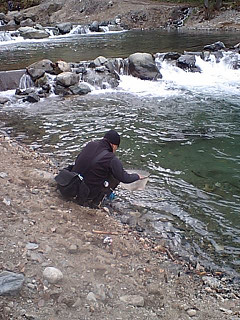 f0065341_06731.jpg