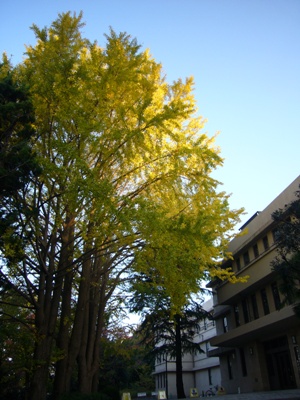 e0100046_20542173.jpg