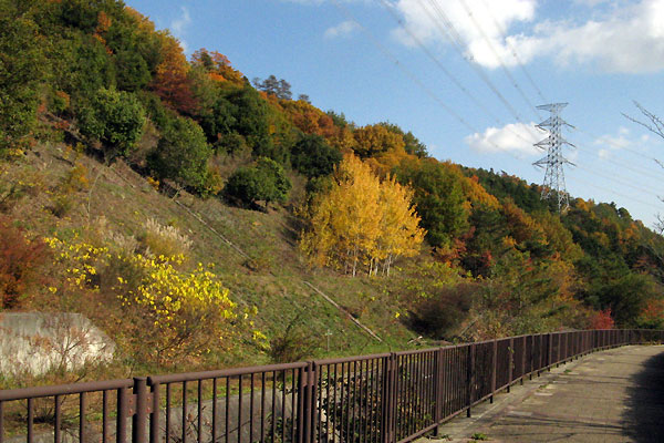 f0007956_1763646.jpg