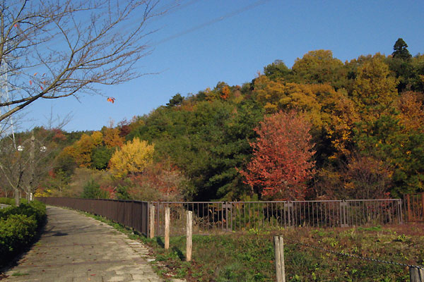 f0007956_1764772.jpg