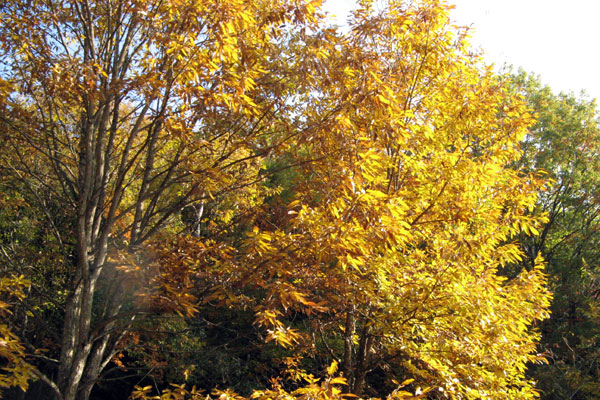 f0007956_1771915.jpg