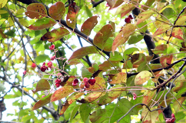 f0007956_1774381.jpg