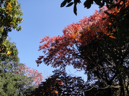 c0108460_1552688.jpg