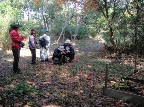 c0108460_1554568.jpg