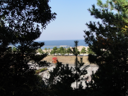 c0108460_1601343.jpg