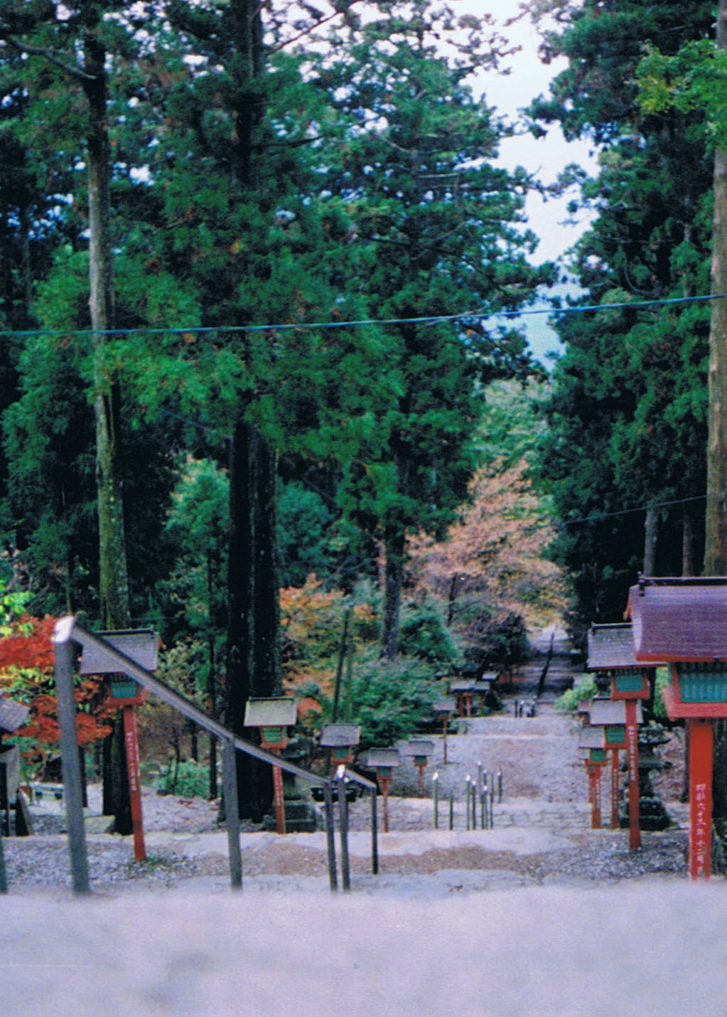 e0195460_011940.jpg