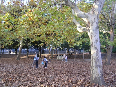 b0145863_19441630.jpg