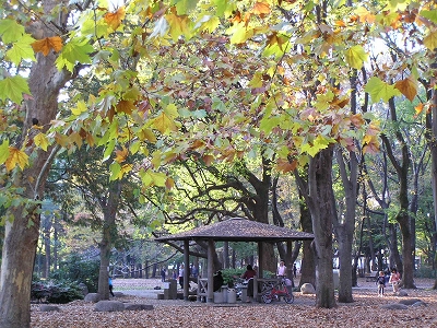 b0145863_19495159.jpg