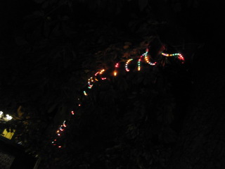 c0186663_21212952.jpg