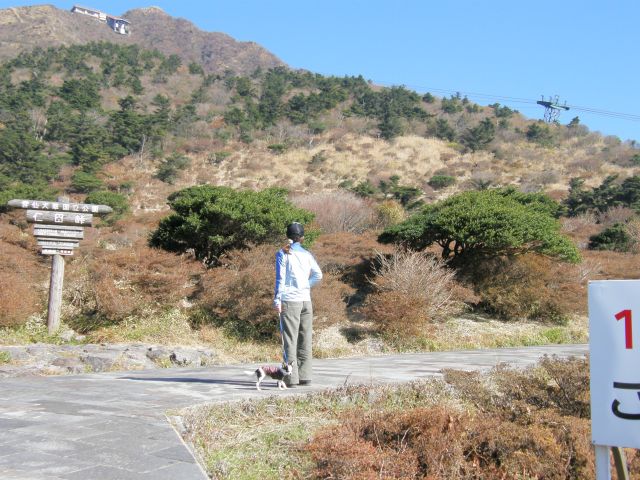 c0042869_20322548.jpg