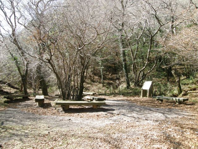 c0042869_20384346.jpg
