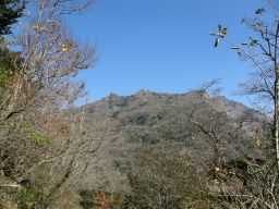 c0042869_2039291.jpg