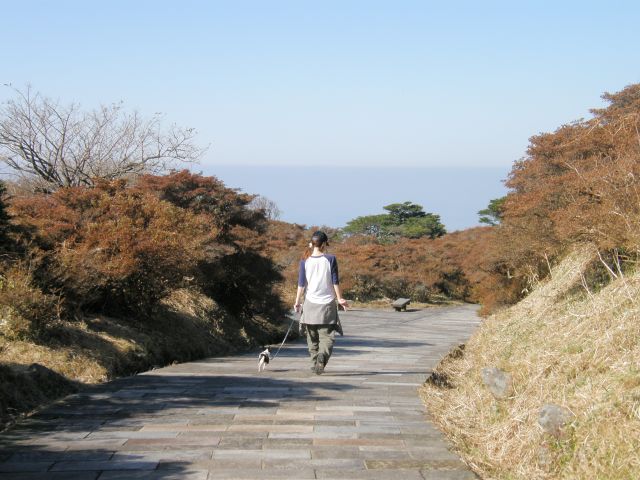 c0042869_20441825.jpg