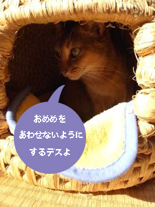b0177078_10112913.jpg