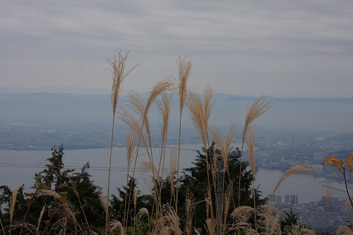 b0003280_11514621.jpg