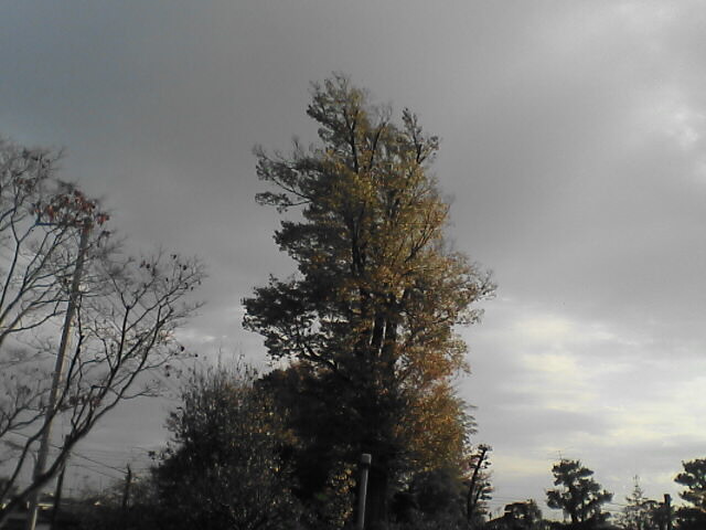 c0069380_14524087.jpg