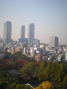 d0129083_1325126.jpg