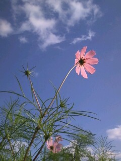 c0201284_16423654.jpg