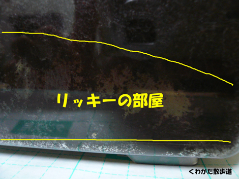 f0183484_23401897.jpg
