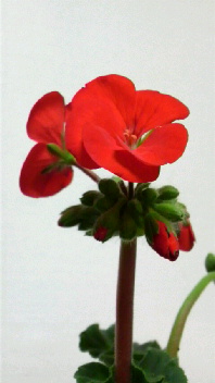 b0134285_0204044.jpg