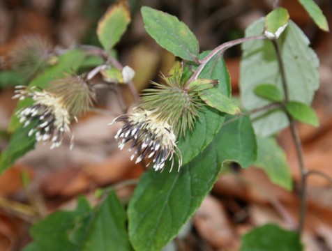 c0144185_2239315.jpg