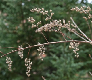 c0144185_2293477.jpg