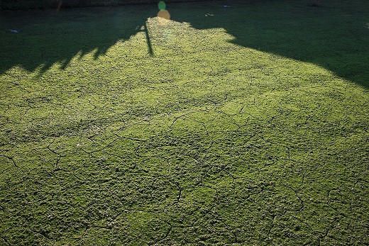e0190885_20215937.jpg