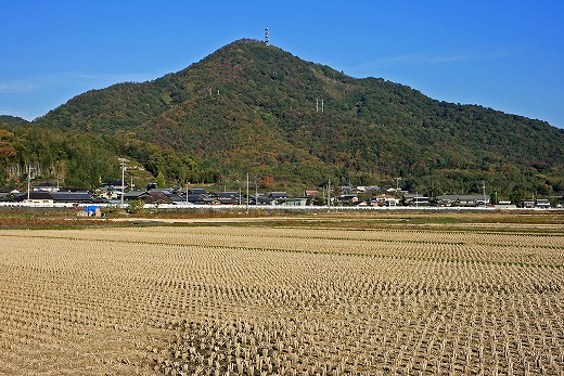 e0190885_2022613.jpg